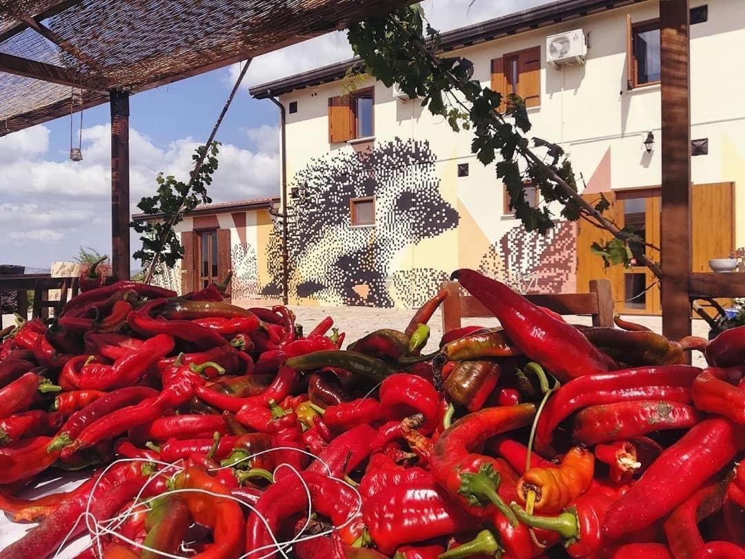 Agriturismo Il Riccio Monticchio  Bagian luar foto