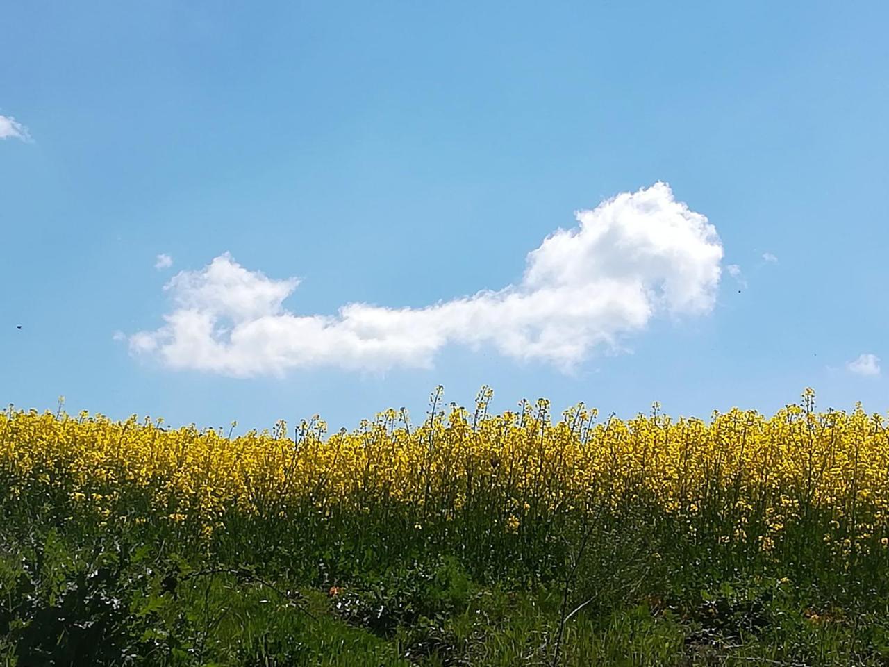 Agriturismo Il Riccio Monticchio  Bagian luar foto