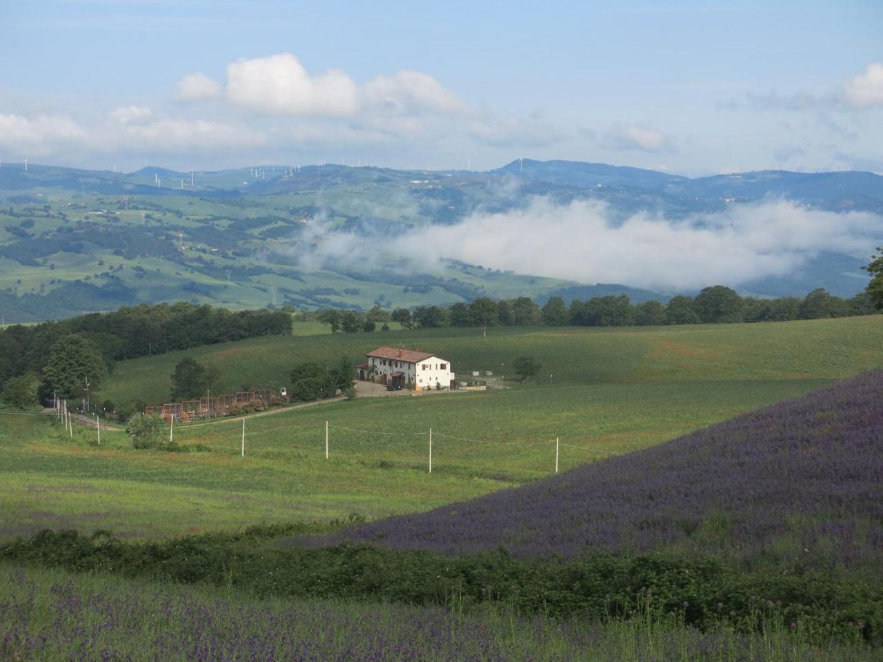 Agriturismo Il Riccio Monticchio  Bagian luar foto