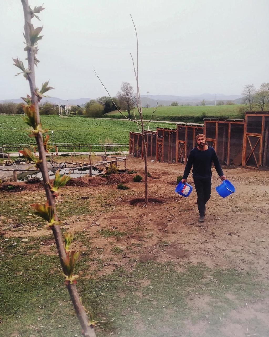 Agriturismo Il Riccio Monticchio  Bagian luar foto